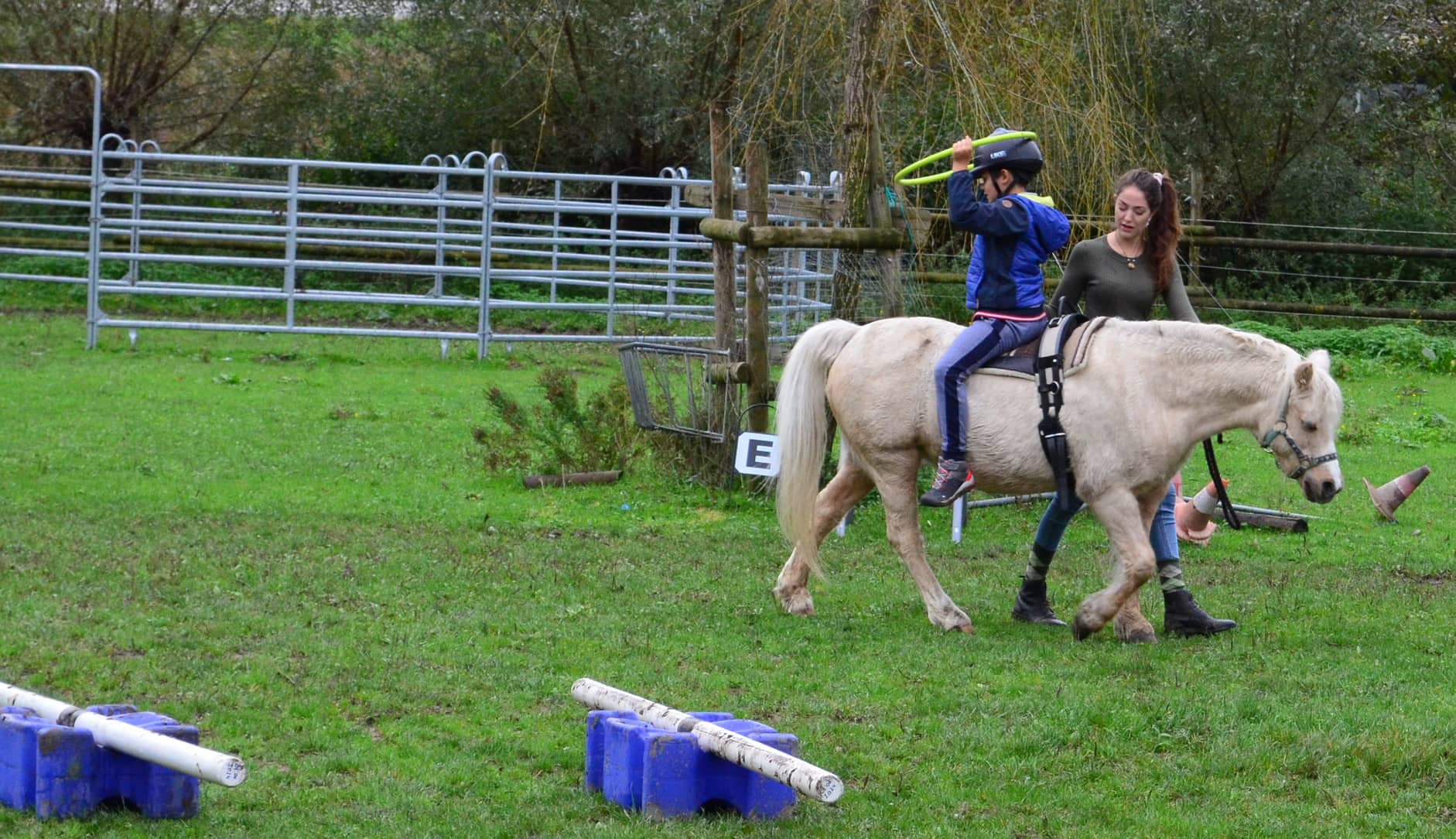 Ergoterapia coi cavalli